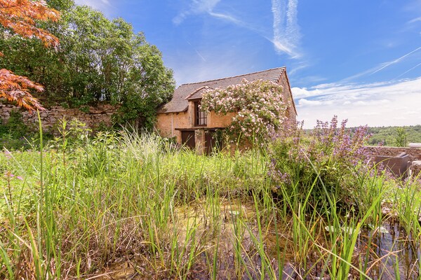 Foto van Landhuis in Dordogne bij Grot van Lascaux - Vakantiehuis in Les Eyzies-De-Tayac-Sireuil - ExteriorSummer