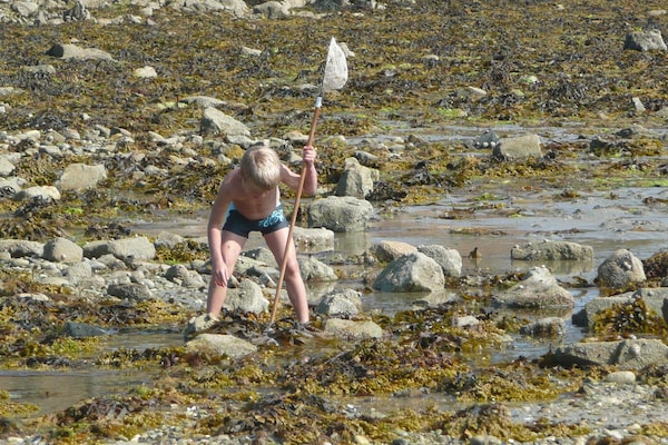 Foto van Stenen huis in Bretagne bij Roscoff & strand - Vakantiehuis in Plougoulm - AreaSummer20KM