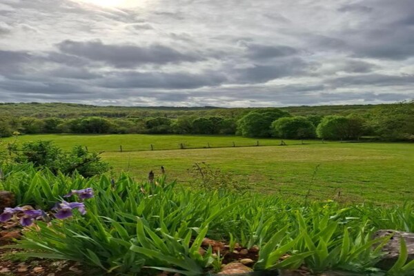 Foto van Ontsnap aan de natuur in Loubressac met zwembad - Vakantiehuis in Loubressac - AreaSummer20KM