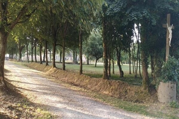 Foto van Vakantiehuis in Angers met privétuin - Vakantiehuis in Saint Laurent-des-Mortiers - AreaSummer20KM