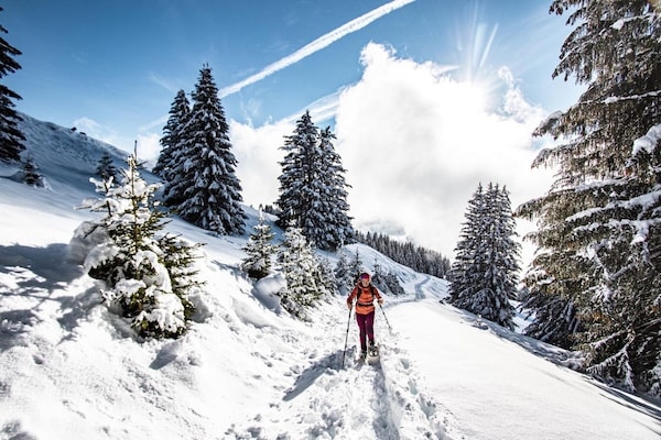 Foto van Appartement in het skigebied Portes du Soleil - Vakantiehuis in Châtel - Untagged