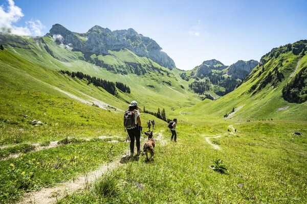 Foto van Appartement in Abondance met Balkon Uitzicht - Vakantiehuis in Châtel - Untagged