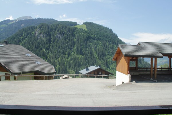Foto van Appartement in Abondance met Balkon Uitzicht - Vakantiehuis in Châtel - Outdoor