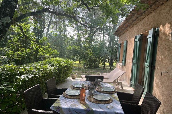 Foto van Familiehuis in Provence met Zwembad en Tuin - Vakantiehuis in Draguignan - ExteriorSummer