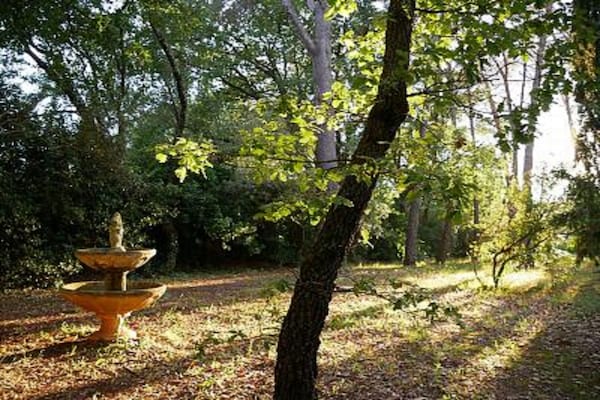 Foto van Familiehuis in Provence met Zwembad en Tuin - Vakantiehuis in Draguignan - GardenSummer