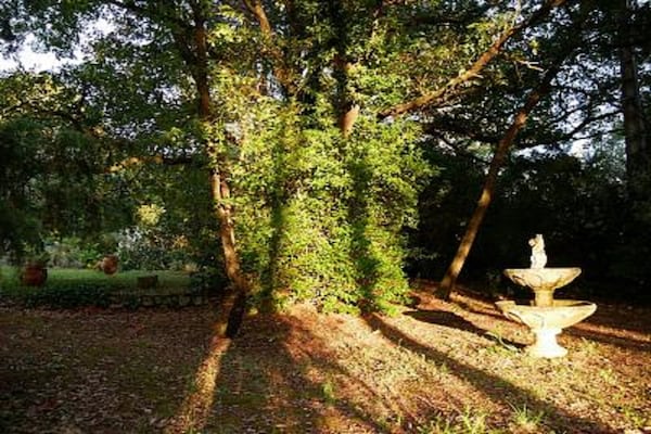 Foto van Familiehuis in Provence met Zwembad en Tuin - Vakantiehuis in Draguignan - GardenSummer