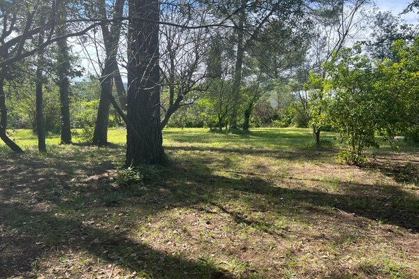 Foto van Familiehuis in Provence met Zwembad en Tuin - Vakantiehuis in Draguignan - GardenSummer
