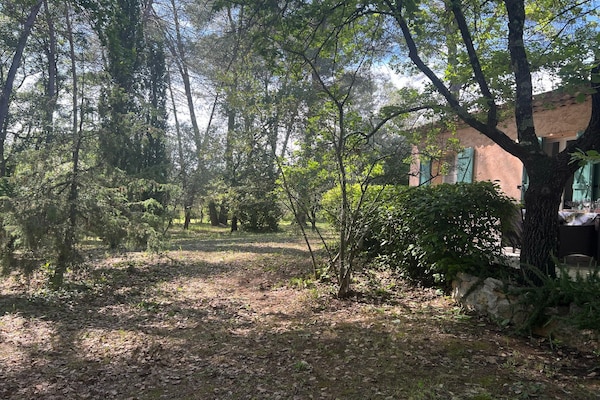 Foto van Familiehuis in Provence met Zwembad en Tuin - Vakantiehuis in Draguignan - GardenSummer