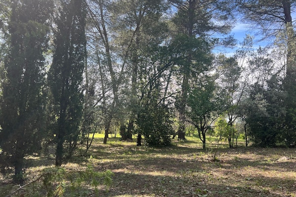 Foto van Familiehuis in Provence met Zwembad en Tuin - Vakantiehuis in Draguignan - GardenSummer