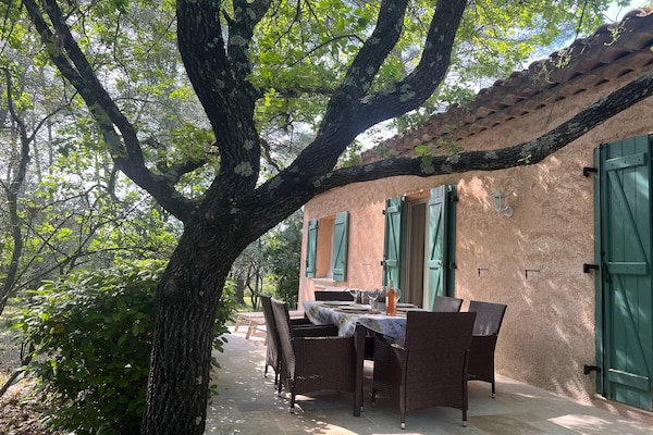 Foto van Familiehuis in Provence met Zwembad en Tuin - Vakantiehuis in Draguignan - ExteriorSummer