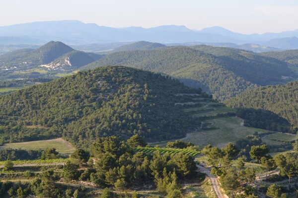 Foto van Pure Provençaalse sfeer met een groot zwembad. - Vakantiehuis in Gigondas - Untagged