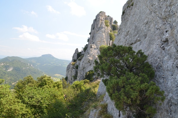 Foto van Pure Provençaalse sfeer met een groot zwembad. - Vakantiehuis in Gigondas - Untagged