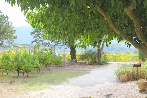 Foto van Huisje in Oppède te midden van wijngaarden - Vakantiehuis in Oppède - ViewSummer