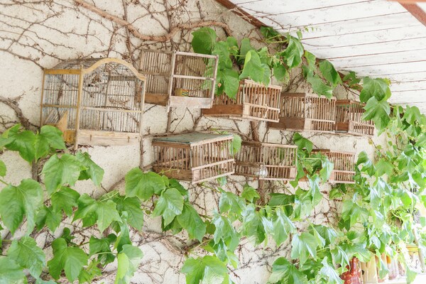 Foto van Cottage in Oppède met Zwembadplezier - Vakantiehuis in Oppède - Ambiance