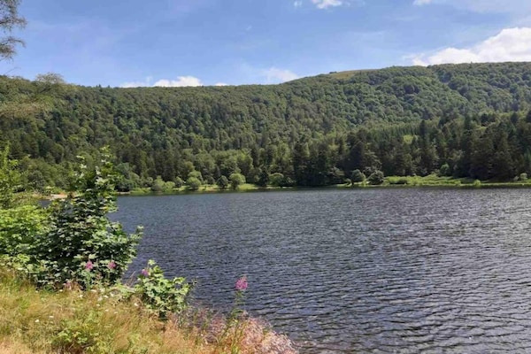 Foto van Chalet bij La Bresse Skipistes - Vakantiehuis in Le Menil - AreaSummer20KM