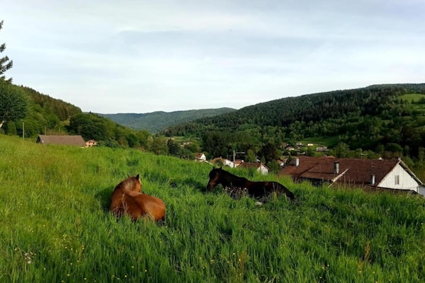 Foto van Chalet in St. Maurice bij Ballon d'Alsace - Vakantiehuis in Saint-Maurice-sur-Moselle - AreaSummer20KM