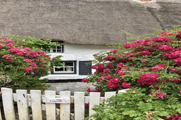 Foto van Cottage in Sennen Cove met Zeezicht - Vakantiehuis in Sennen - Outdoor