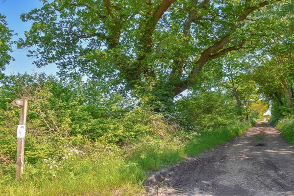 Foto van Luxe tent in Norfolk met mooie tuin - Vakantiehuis in Swannington - AreaSummer20KM