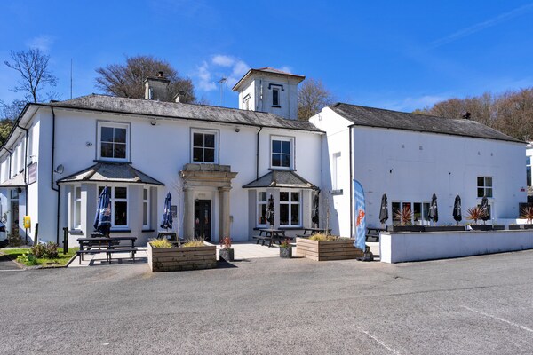Foto van Premium Cornwall Park Lodge voor 6 personen - Vakantiehuis in Callington - ExteriorSummer