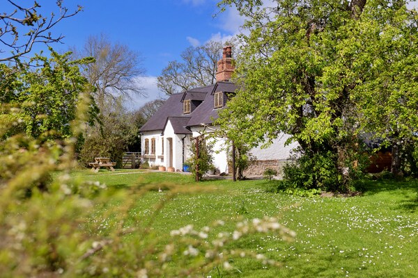 Foto van Premium Country Lodge met bubbelbad - Vakantiehuis in St Asaph - GardenSummer