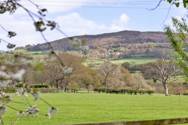 Foto van Premium Country Lodge met bubbelbad - Vakantiehuis in St Asaph - GardenSummer