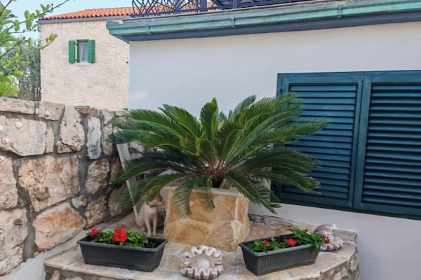 Foto van Privlaka Sunset Apartments - Studio apartment (ground floor 1) - Outdoor