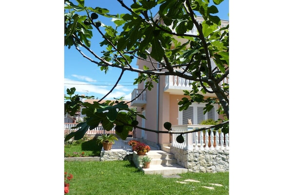 Foto van 1 - Vakantiehuis Jurjevic - Vakantiehuis in Bibinje - Untagged