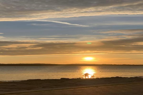 Foto van Relaxing Studio with Lovely Terrace - Kajfes A2 - Vakantiehuis in Valbandon - AreaSummer5KM