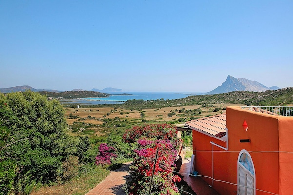 Foto van 2-kamerappartement in de Residence Lu Nibareddu - Vakantiehuis in Loiri - View