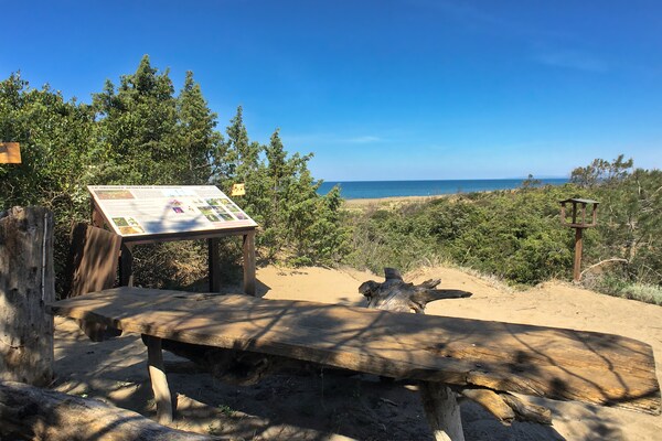 Foto van Vakantiehuis in Castagneto bij het Strand - Vakantiehuis in Castagneto Carducci - GardenSummer