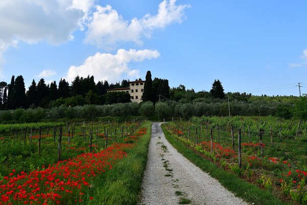 Foto van Rustieke elegantie nabij Florence - Vakantiehuis in Rignano Sull'Arno-FI - ViewSummer