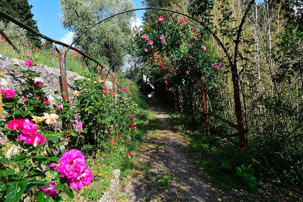 Foto van Rustieke elegantie nabij Florence - Vakantiehuis in Rignano Sull'Arno-FI - GardenSummer