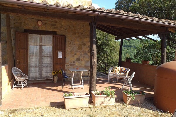 Foto van Boerderij in Paciano met Zwembad & Uitzicht - Vakantiehuis in Paciano - ExteriorSummer
