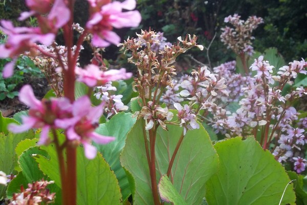 Foto van Wonen aan het meer met avontuur - Vakantiehuis in Idro - Ambiance