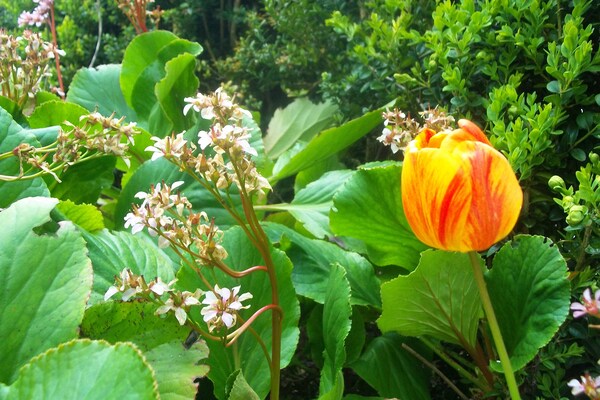Foto van Wonen aan het meer met avontuur - Vakantiehuis in Idro - Ambiance