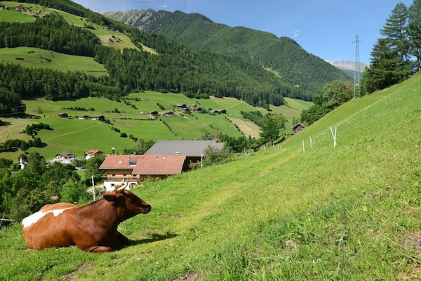 Foto van Rainer in de agrarische gemeenschap - Vakantiehuis in Steinhaus Ahrntal Südtirol - GardenSummer
