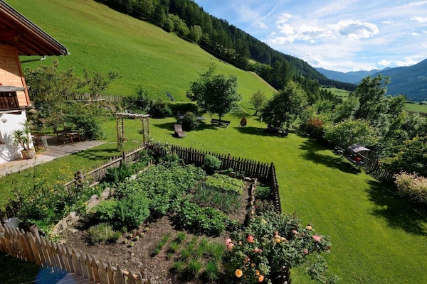 Foto van Rainer in de agrarische gemeenschap - Vakantiehuis in Steinhaus Ahrntal Südtirol - GardenSummer