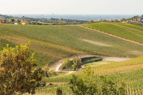 Foto van Premium vakantiehuis met zwembad - Vakantiehuis in Castel San Pietro Terme - ViewSummer