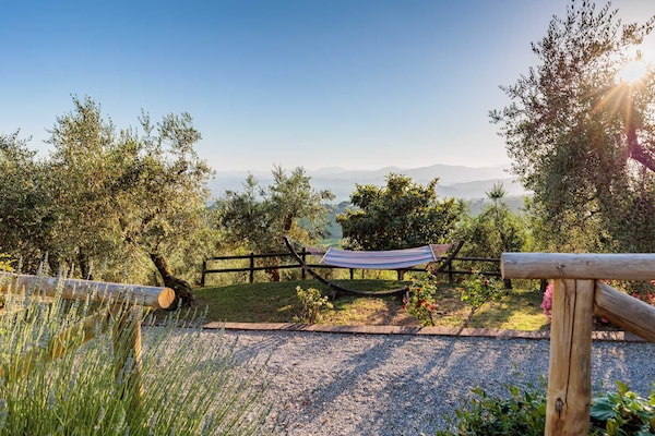 Foto van Villa met zwembad en uitzicht op de wijngaard - Vakantiehuis in Lucca - ExteriorSummer