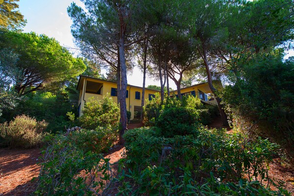 Foto van Vakantiehuis op slechts 10min van Capoliveri - Vakantiehuis in Capoliveri - GardenSummer