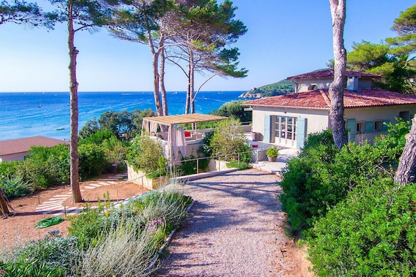 Foto van Red Mullet House Isola d'Elba - Vakantiehuis in Procchio - Untagged