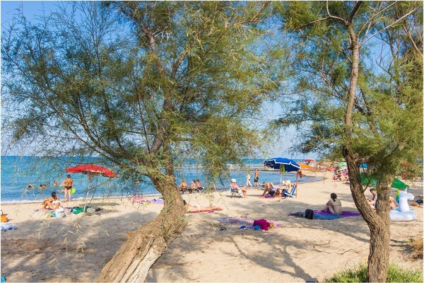 Foto van Prato Inglese vlakbij het strand - Vakantiehuis in Specchiolla BR - Untagged