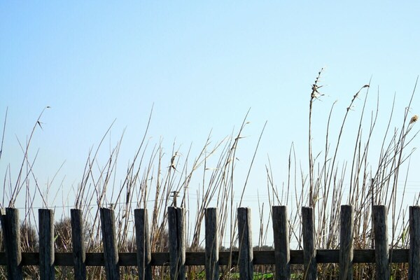 Foto van Villa in Brindisi met zwembad - Vakantiehuis in Brindisi - Untagged