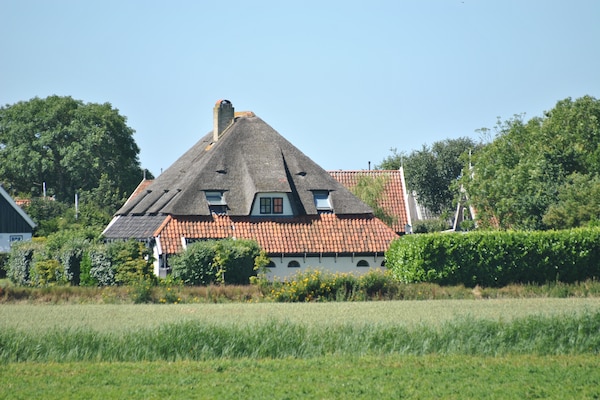 Foto van Heerlijk huis op Texel vlakbij zee - Vakantiehuis in Oost-Texel - ExteriorSummer