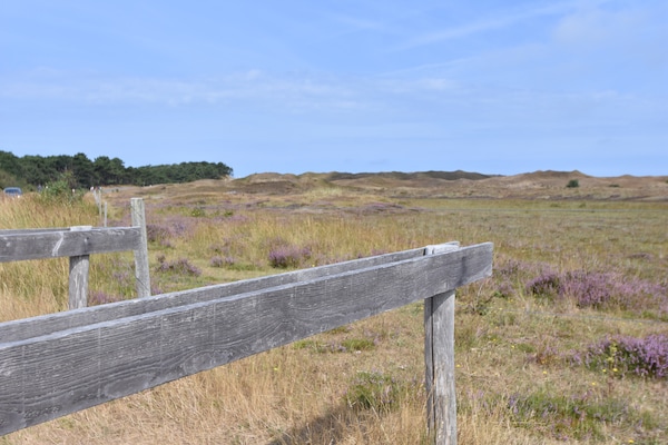 Foto van Heerlijk huis op Texel vlakbij zee - Vakantiehuis in Oost-Texel - AreaSummer5KM