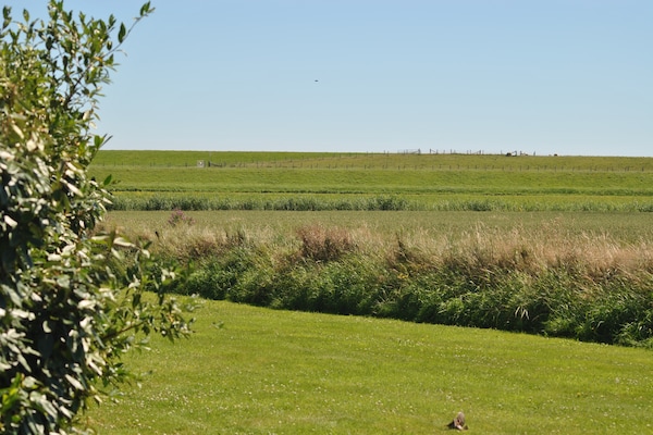 Foto van Heerlijk huis op Texel vlakbij zee - Vakantiehuis in Oost-Texel - AreaSummer1KM
