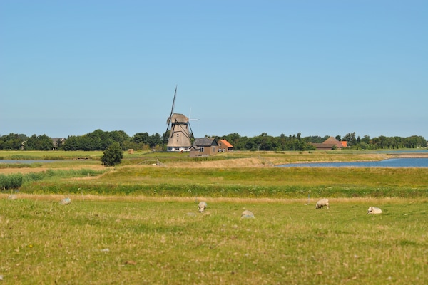 Foto van Heerlijk huis op Texel vlakbij zee - Vakantiehuis in Oost-Texel - AreaSummer1KM