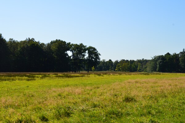 Foto van Vakantiehuis Voorthuizen bij De Veluwe - Vakantiehuis in Voorthuizen - AreaSummer20KM