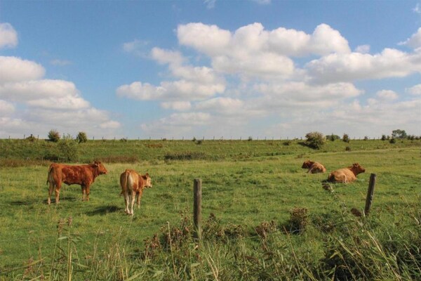 Foto van Vakantiehuis in Zeeland kindvriendelijk - Vakantiehuis in Serooskerke - AreaSummer20KM