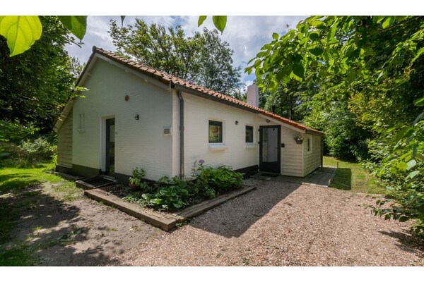 Foto van Vakantiehuis in Dishoek bij Strand & Duinen - Vakantiehuis in Dishoek - ExteriorSummer